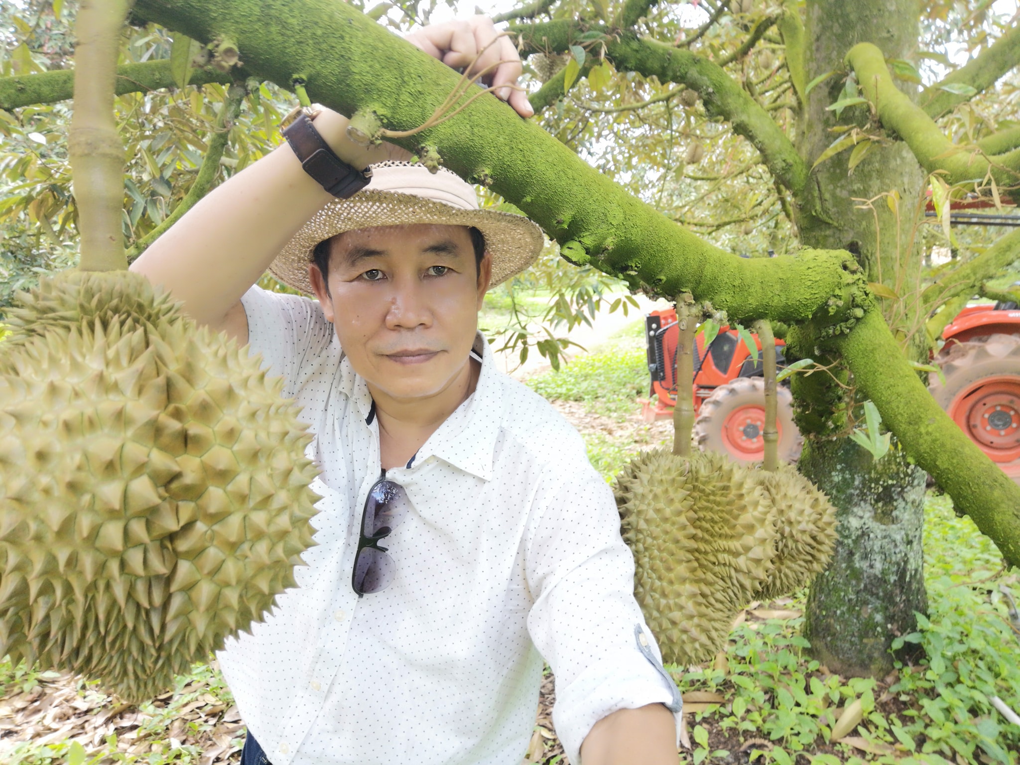 พาชมสวนทุเรียนเมืองระยอง 